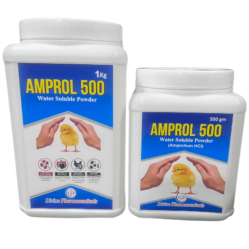 Amprol 500 water-soluble powder pack sizes from Divine Pharmaceuticals