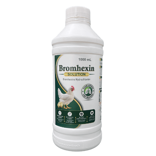 Bromhexin veterinary product 1000 mL bottle